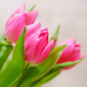 Meet your Posher, Lorie